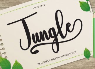 Jungle Script Typeface