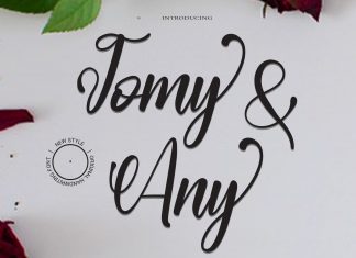 Tomy Any Script Font