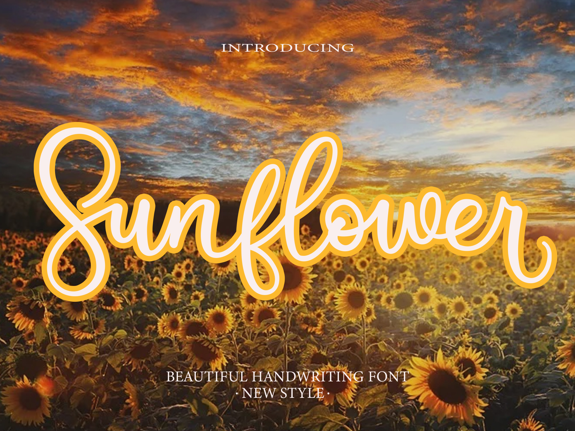 Sunflower Script Font