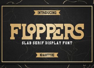 Floppers Slab Serif Font