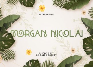 Morgan Nicolai Display Font