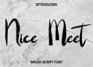 Nice Meet Script Font