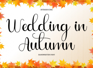 Wedding in Autumn Font