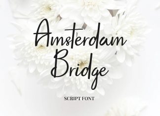 Amsterdam Bridge Script Font