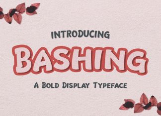 Bashing Display Font