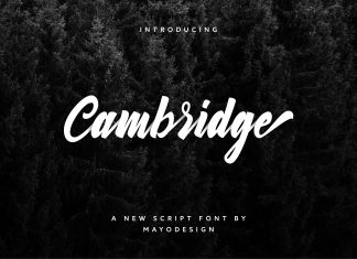 Cambridge Script Font