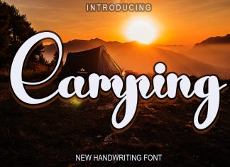Camping Script Font