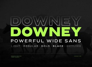 Downey Sans Serif Font