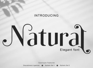 Natural Sans Serif Font