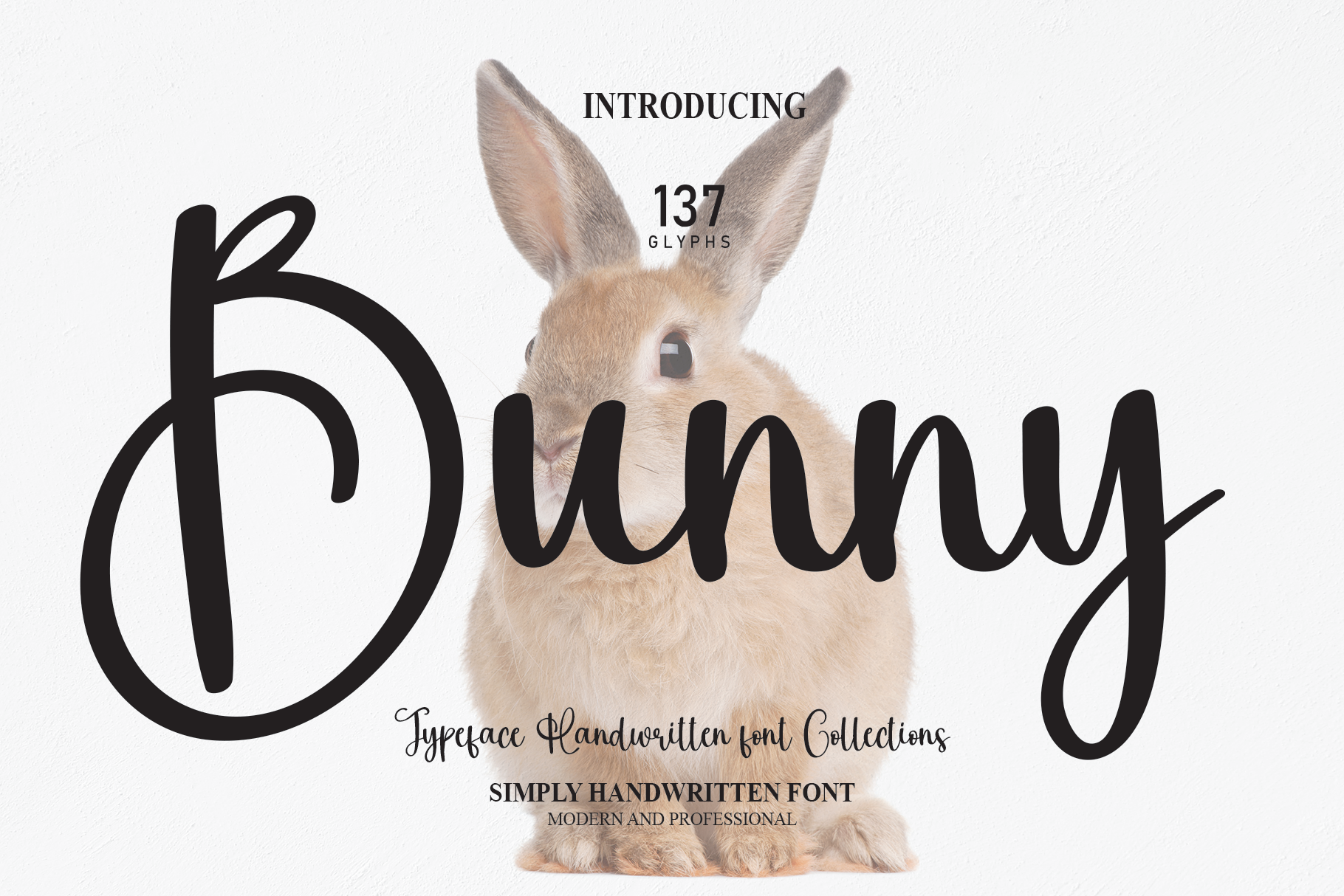 Bunny Font - Befonts