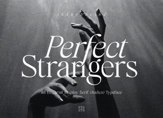 Perfect Strangers Serif Font