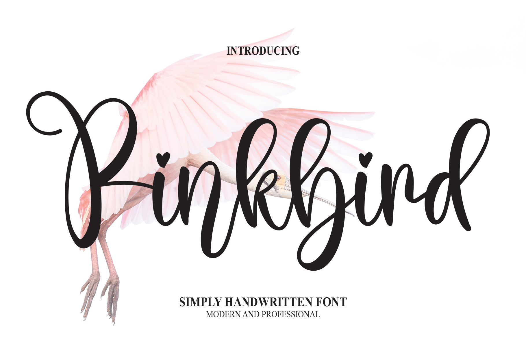 Pinkbird Script Font