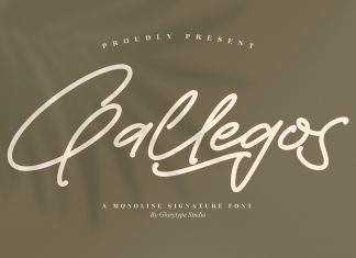 Gallegos Handwritten Font