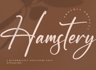 Hamstery Script Font