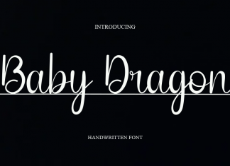 Baby Dragon Script Font