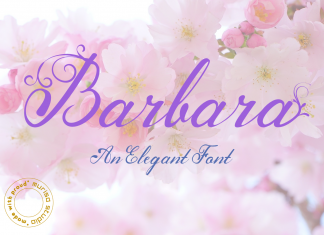 Barbara Calligraphy Font