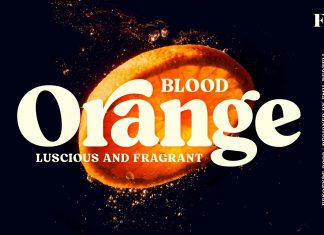 Blood Orange Serif Font