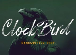 Clock Bird Brush Font