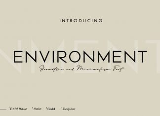 Environment Sans Serif Font