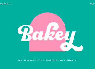 Bakey Display Font
