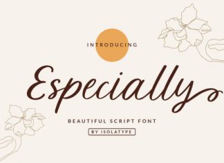 Especially Calligraphy Font