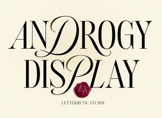 Androgy Serif Font
