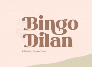 Bingo Dilan Serif Font