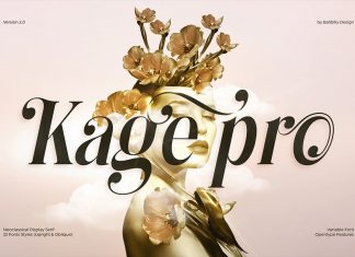 Kage Pro Serif Font