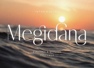 Megidana Sans Serif Font