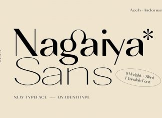 Nagaiya Sans Serif Font