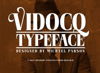 Vidocq Serif Font