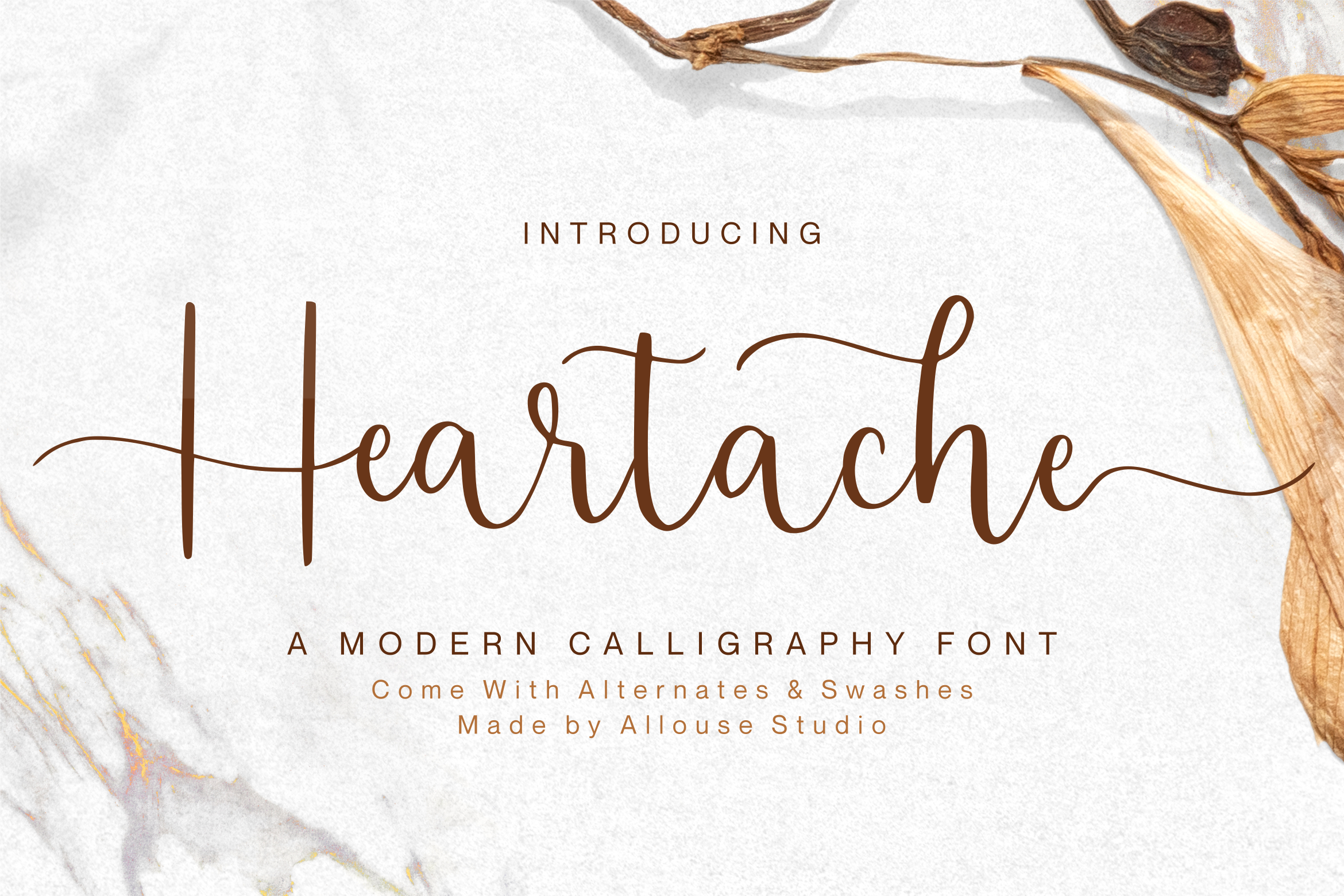 Heartcahe Script Font