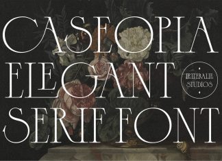 Caseopia Serif Typeface