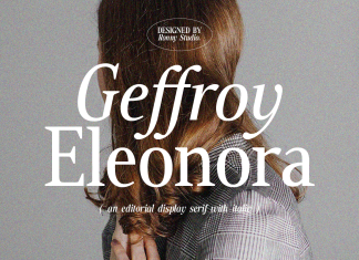 Geffroy Eleonora Serif Font