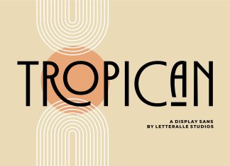 Tropican Script Font