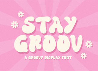 Stay Groov Display Font