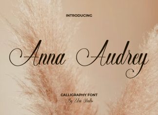 Anna Audrey Script Font