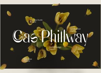 Cas Phillway Sans Serif Typeface