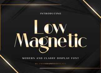 Low Magnetic Sans Serif Font
