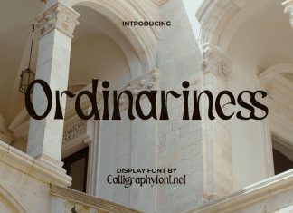 Ordinariness Display Font
