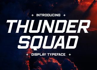 THUNDER SQUAD Display Font