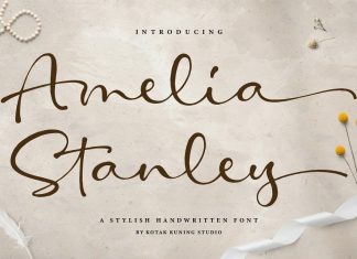 Amelia Stanley Script Font