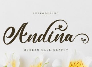 Andina Calligraphy Font