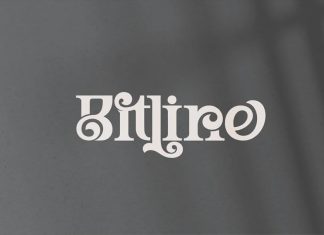Bitline Serif Font