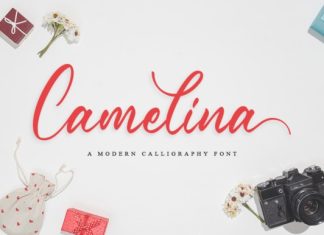 Camelina Handwritten Font