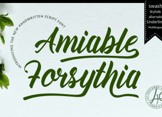 Amiable Forsythia Script Font
