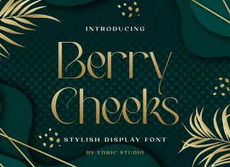 Berry Cheeks Sans Serif Font
