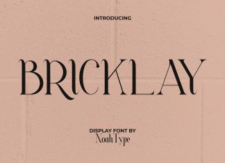 Bricklay Serif Font