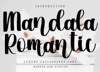 Mandala Romantic Script Font