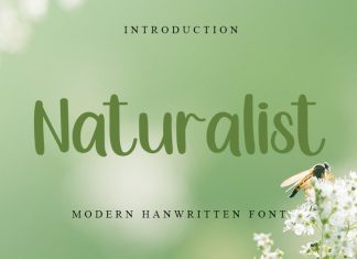 Naturalist Brush Font